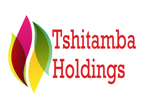 Tshitamba Holdings